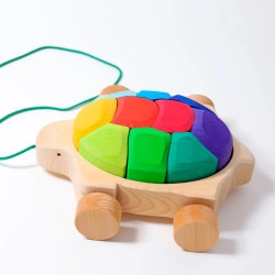 Schildpad regenboog met koord