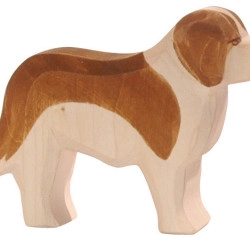 Sint-Bernard hond